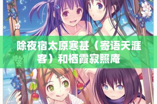 除夜宿太原寒甚(寄语天涯客)和栖霞寂照庵 第2张 除夜宿太原寒甚(寄语天涯客)和栖霞寂照庵 第2张