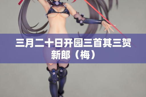 三月二十日开园三首其三贺新郎（梅）
