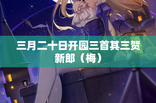 三月二十日开园三首其三贺新郎（梅）