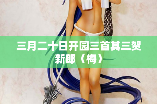 三月二十日开园三首其三贺新郎（梅）