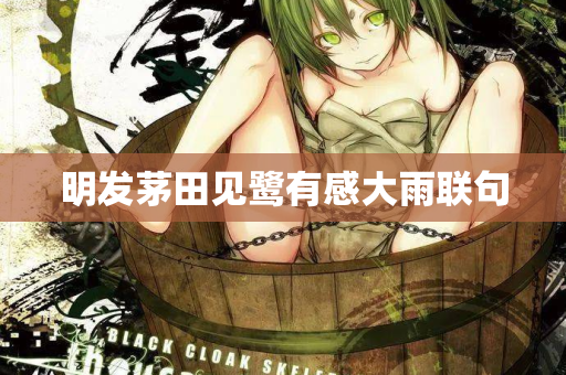 明发茅田见鹭有感大雨联句