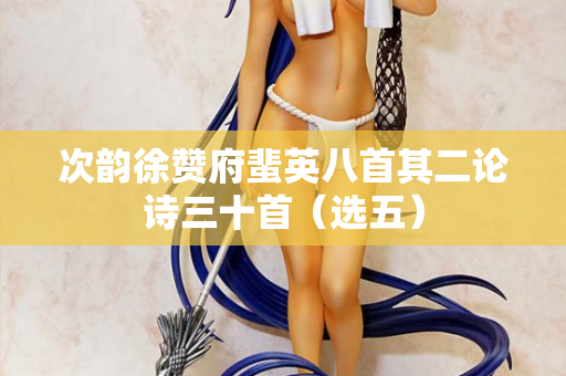 次韵徐赞府蜚英八首其二论诗三十首（选五）