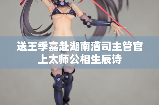 送王季嘉赴湖南漕司主管官上太师公相生辰诗