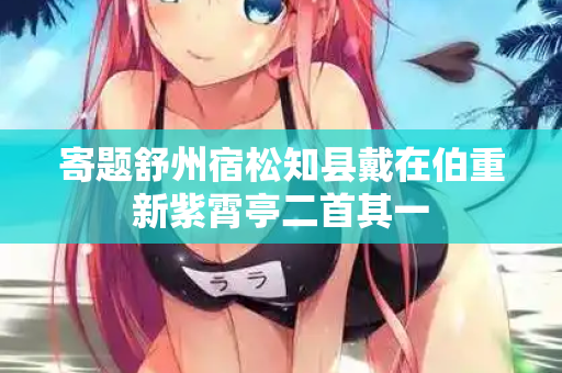 寄题舒州宿松知县戴在伯重新紫霄亭二首其一