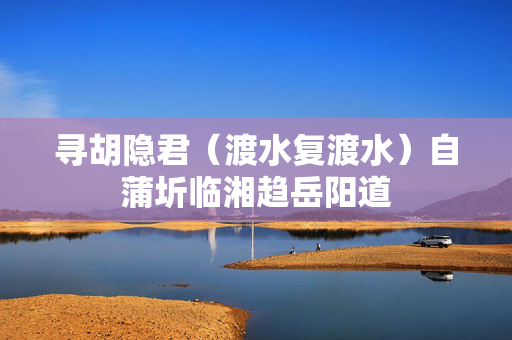 寻胡隐君（渡水复渡水）自蒲圻临湘趋岳阳道