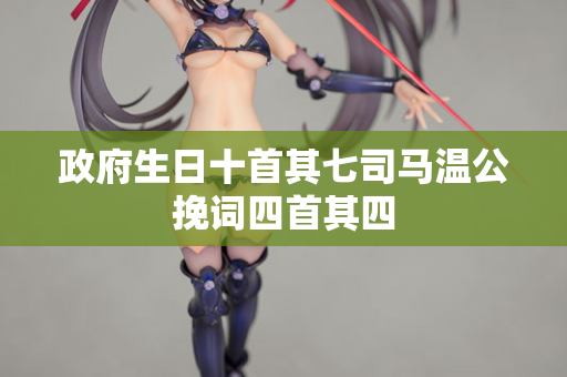 政府生日十首其七司马温公挽词四首其四 第2张 政府生日十首其七司马温公挽词四首其四 第2张