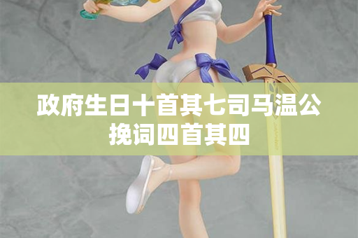政府生日十首其七司马温公挽词四首其四