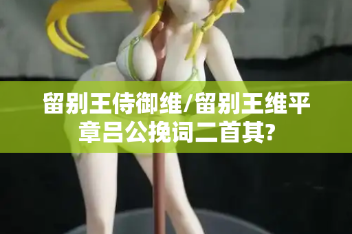 留别王侍御维/留别王维平章吕公挽词二首其?