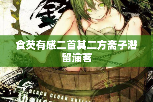 食芡有感二首其二方斋子潜留瀹茗  第2张