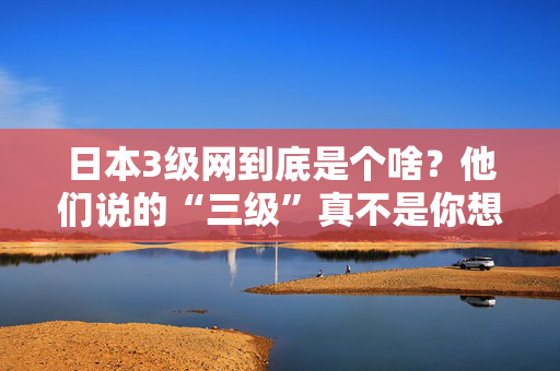 日本3级网到底是个啥？他们说的“三级”真不是你想的那样