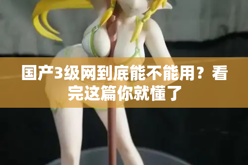 国产3级网到底能不能用？看完这篇你就懂了  第3张
