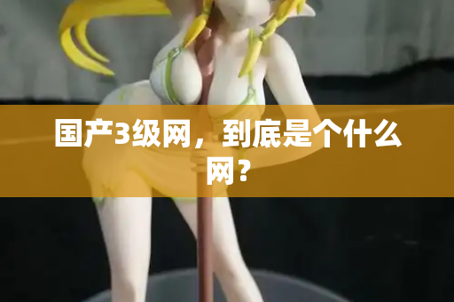 国产3级网,到底是个什么网? 第1张 国产3级网,到底是个什么网? 第1张