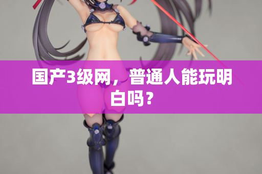 国产3级网,普通人能玩明白吗? 第2张 国产3级网,普通人能玩明白吗? 第2张