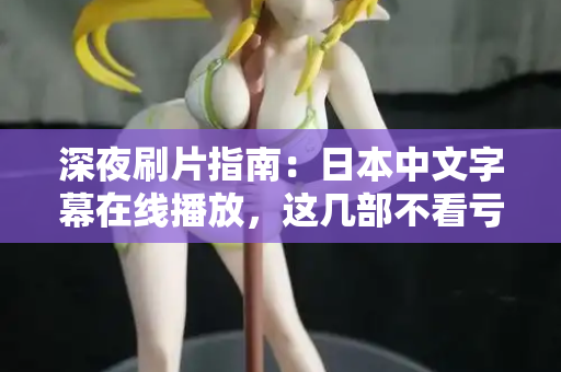 深夜刷片指南：日本中文字幕在线播放，这几部不看亏了