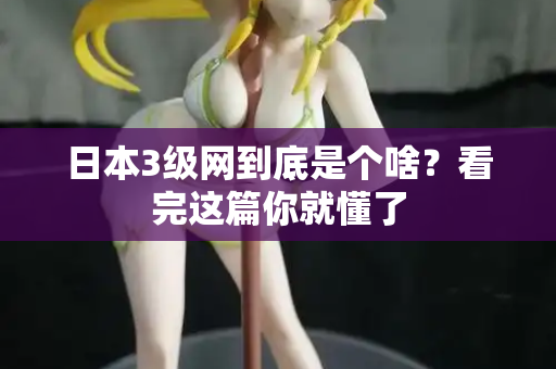 日本3级网到底是个啥？看完这篇你就懂了