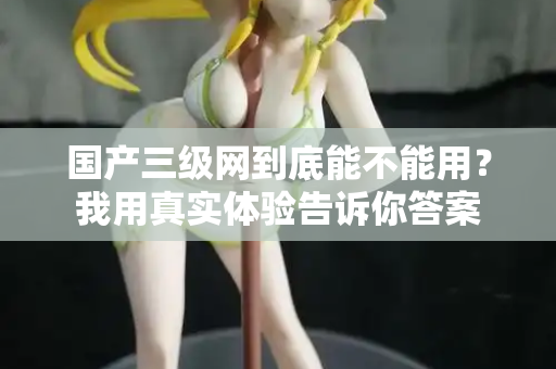 国产三级网到底能不能用？我用真实体验告诉你答案