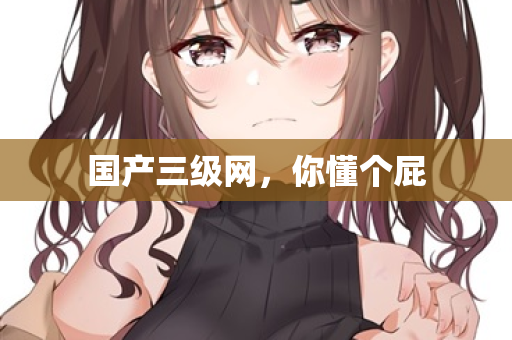 国产三级网，你懂个屁