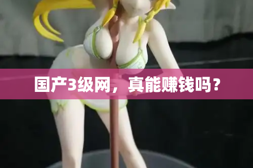 国产3级网，真能赚钱吗？  第2张