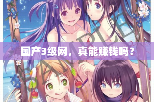 国产3级网，真能赚钱吗？  第3张
