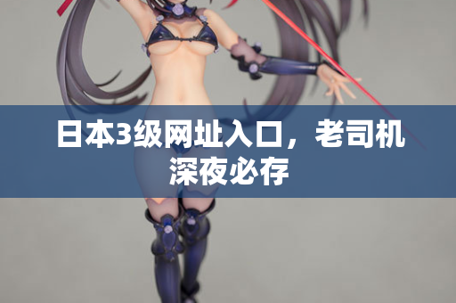日本3级网址入口，老司机深夜必存