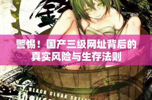 警惕！国产三级网址背后的真实风险与生存法则