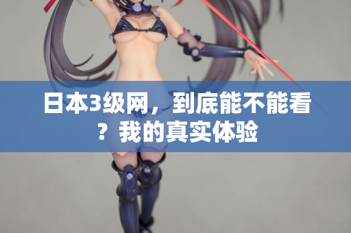 日本3级网，到底能不能看？我的真实体验  第2张