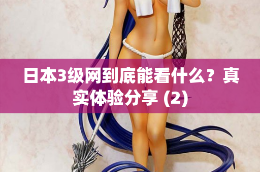 日本3级网到底能看什么？真实体验分享 (2)
