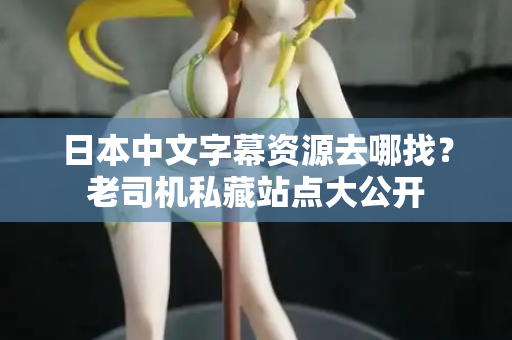 日本中文字幕资源去哪找？老司机私藏站点大公开  第2张