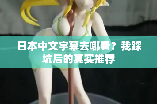 日本中文字幕去哪看？我踩坑后的真实推荐