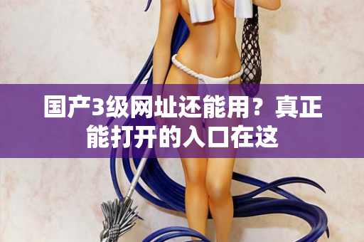 国产3级网址还能用?真正能打开的入口在这 第2张 国产3级网址还能用?真正能打开的入口在这 第2张