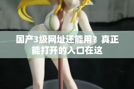 国产3级网址还能用?真正能打开的入口在这 第1张 国产3级网址还能用?真正能打开的入口在这 第1张