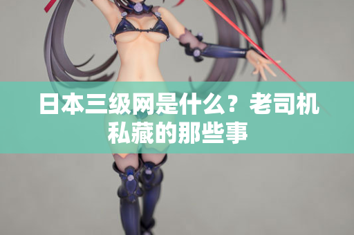 日本三级网是什么？老司机私藏的那些事