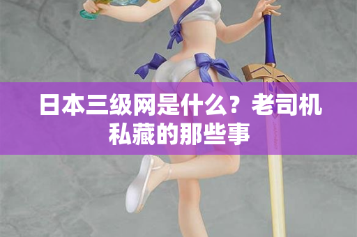 日本三级网是什么?老司机私藏的那些事 第2张 日本三级网是什么?老司机私藏的那些事 第2张