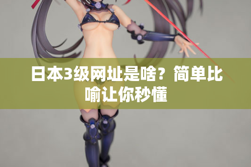 日本3级网址是啥？简单比喻让你秒懂