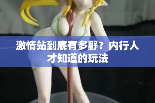 激情站到底有多野？内行人才知道的玩法  第2张