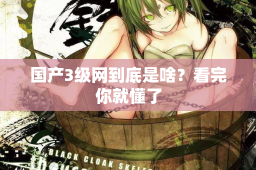 国产3级网到底是啥？看完你就懂了  第2张