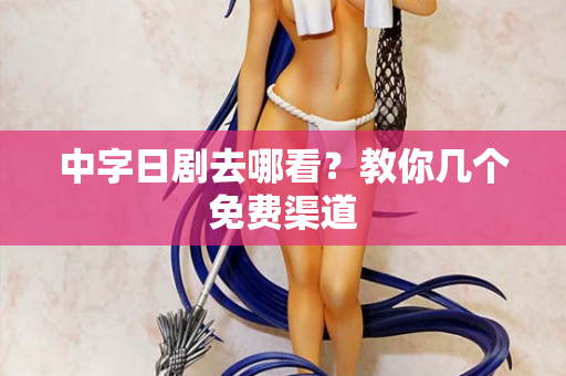 中字日剧去哪看？教你几个免费渠道  第1张