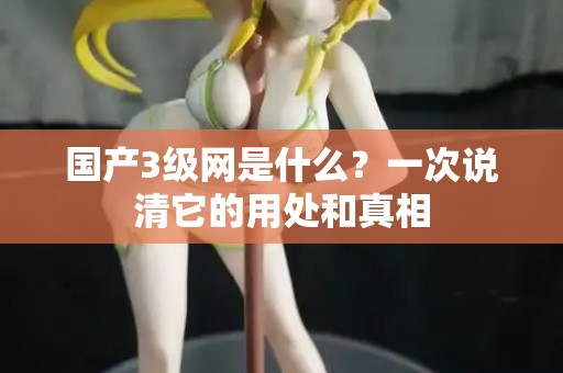 国产3级网是什么?一次说清它的用处和真相 第3张 国产3级网是什么?一次说清它的用处和真相 第3张