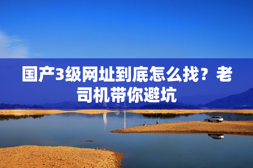 国产3级网址到底怎么找？老司机带你避坑  第2张