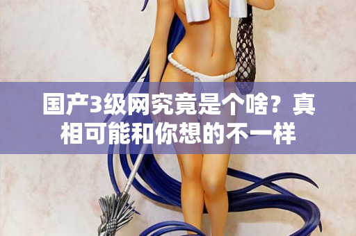 国产3级网究竟是个啥?真相可能和你想的不一样 第2张 国产3级网究竟是个啥?真相可能和你想的不一样 第2张