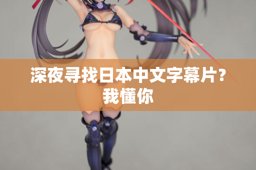 深夜寻找日本中文字幕片？我懂你  第2张