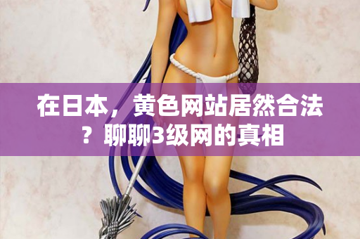 在日本,黄色网站居然合法?聊聊3级网的真相 第2张 在日本,黄色网站居然合法?聊聊3级网的真相 第2张