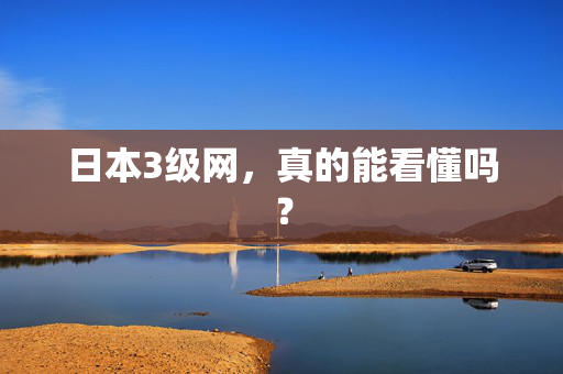 日本3级网，真的能看懂吗？