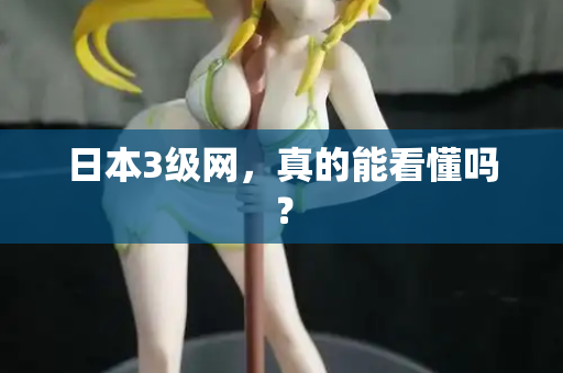 日本3级网，真的能看懂吗？