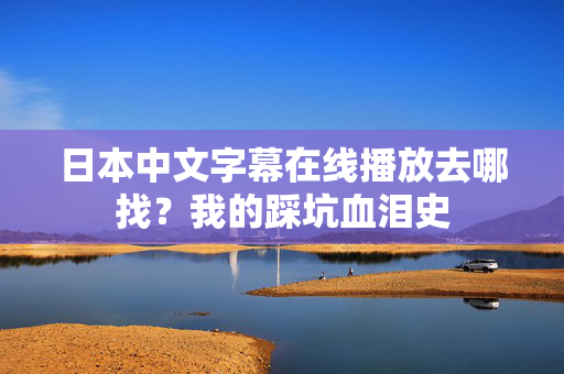 日本中文字幕在线播放去哪找？我的踩坑血泪史  第2张