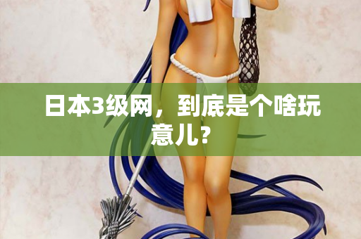 日本3级网，到底是个啥玩意儿？
