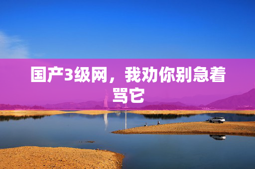 国产3级网,我劝你别急着骂它 第2张 国产3级网,我劝你别急着骂它 第2张
