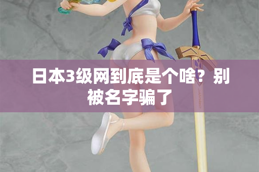 日本3级网到底是个啥？别被名字骗了