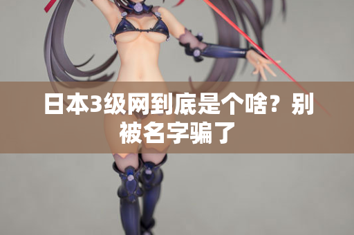 日本3级网到底是个啥？别被名字骗了