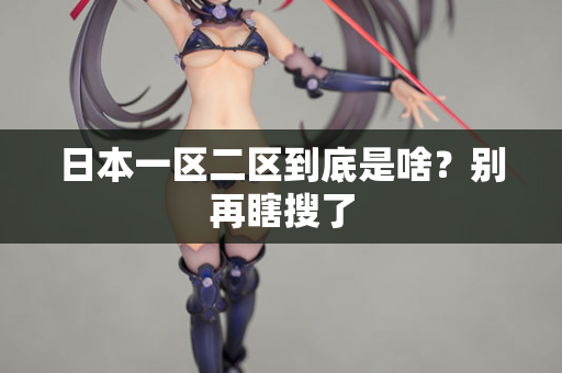 日本一区二区到底是啥?别再瞎搜了 第1张 日本一区二区到底是啥?别再瞎搜了 第1张